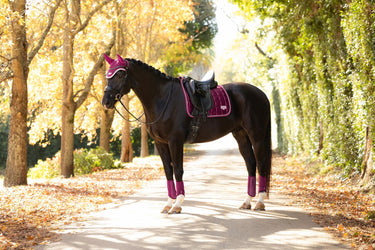 LeMieux Blackberry Loire Classic Dressage Square Blackberry| Online For Equine