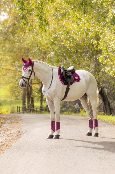 LeMieux Blackberry Loire Classic GP Square Blackberry| Online For Equine