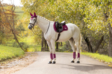 LeMieux Blackberry Loire Classic GP Square Blackberry| Online For Equine