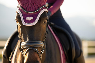 LeMieux Blackberry Loire Fly Hood Blackberry| Online For Equine