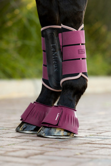 LeMieux Blackberry Rubber Bell Boots Blackberry| Online For Equine