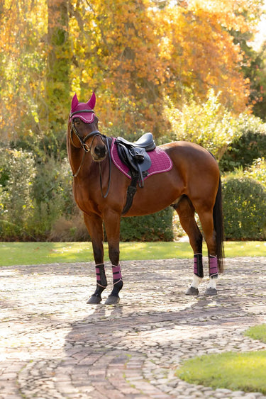LeMieux Blackberry Suede Close Contact Square| Online For Equine