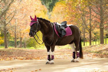 LeMieux Blackberry Suede Close Contact Square| Online For Equine