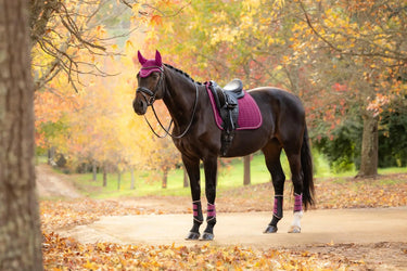 LeMieux Blackberry Suede Dressage Square| Online For Equine