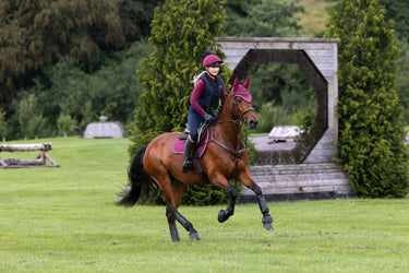 LeMieux Blackberry Suede GP Square| Online For Equine