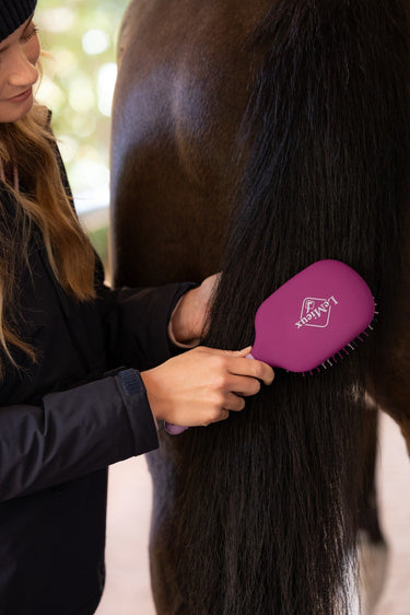 LeMieux Blackberry Tangle Tidy Blackberry| Online For Equine