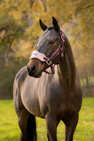 LeMieux Blackberry Vogue Headcollar & Leadrope| Online For Equine