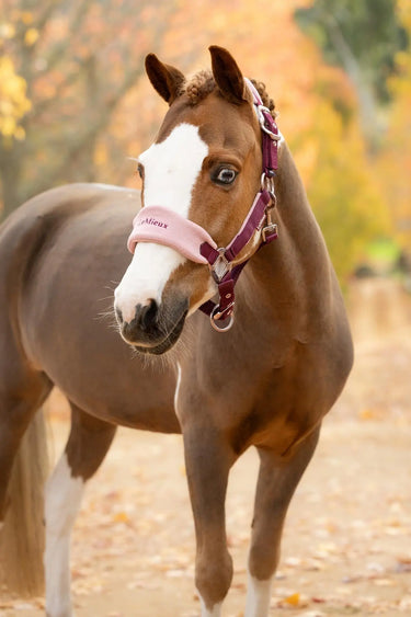 LeMieux Blackberry Vogue Headcollar & Leadrope| Online For Equine