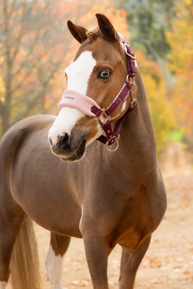 LeMieux Blackberry Vogue Headcollar & Leadrope| Online For Equine