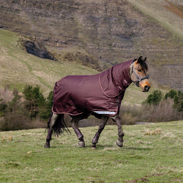 LeMieux Bramble Arika Ripstop 0g Turnout Rug Bramble| Online For Equine