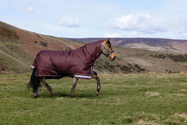 LeMieux Bramble Arika Ripstop 0g Turnout Rug Bramble| Online For Equine