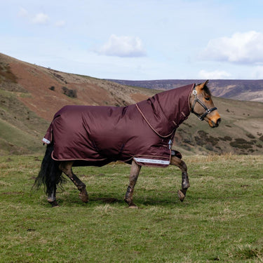 LeMieux Bramble Arika Ripstop 0g Turnout Rug Bramble| Online For Equine