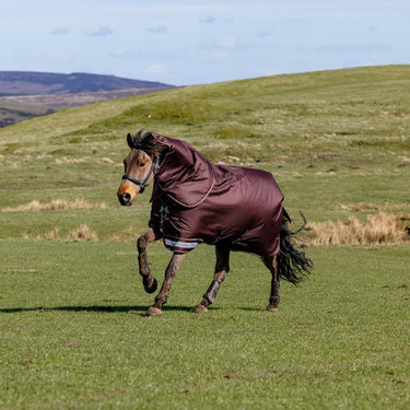 LeMieux Bramble Arika Ripstop 0g Turnout Rug Bramble| Online For Equine