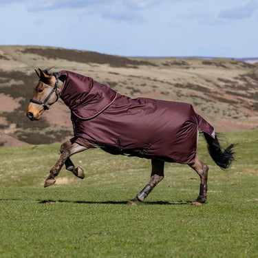 LeMieux Bramble Arika Ripstop 0g Turnout Rug Bramble| Online For Equine