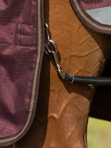 LeMieux Bramble Arika Ripstop 0g Turnout Rug Bramble| Online For Equine