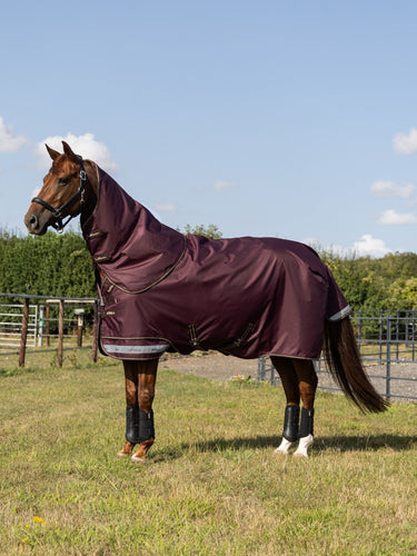 LeMieux Bramble Arika Ripstop 0g Turnout Rug Bramble| Online For Equine