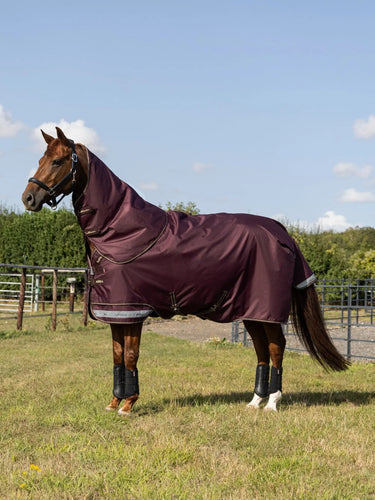LeMieux Bramble Arika Ripstop 0g Turnout Rug Bramble| Online For Equine