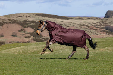 LeMieux Bramble Arika Ripstop 0g Turnout Rug Bramble| Online For Equine