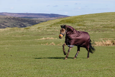 LeMieux Bramble Arika Ripstop 0g Turnout Rug Bramble| Online For Equine