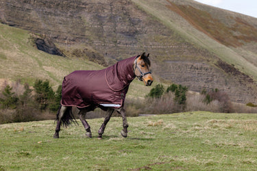 LeMieux Bramble Arika Ripstop 0g Turnout Rug Bramble| Online For Equine