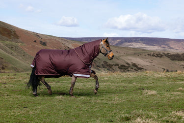 LeMieux Bramble Arika Ripstop 0g Turnout Rug Bramble| Online For Equine