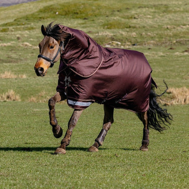 LeMieux Bramble Arika Ripstop 0g Turnout Rug Bramble| Online For Equine