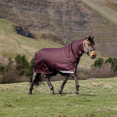 LeMieux Bramble Arika Ripstop 0g Turnout Rug Bramble| Online For Equine