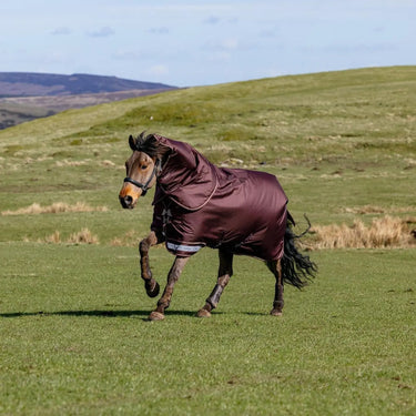 LeMieux Bramble Arika Ripstop 0g Turnout Rug Bramble| Online For Equine