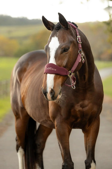 LeMieux Bramble Breakaway Vogue Headcollar & Leadrope| Online For Equine