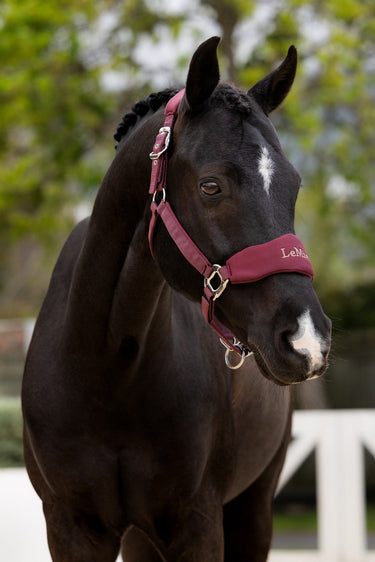 LeMieux Bramble Breakaway Vogue Headcollar & Leadrope| Online For Equine
