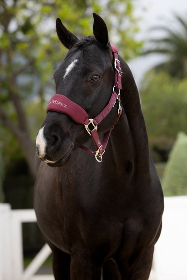 LeMieux Bramble Breakaway Vogue Headcollar & Leadrope| Online For Equine