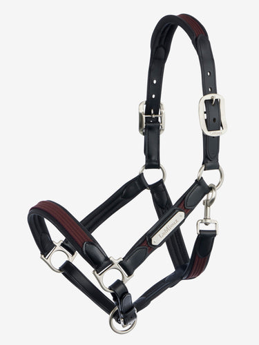 LeMieux Bramble Capella Headcollar Bramble| Online For Equine
