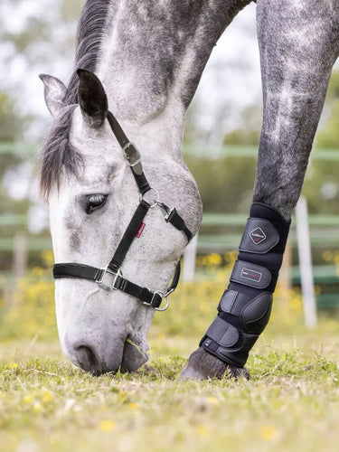 Buy LeMieux Break Away Headcollar| Online for Equine