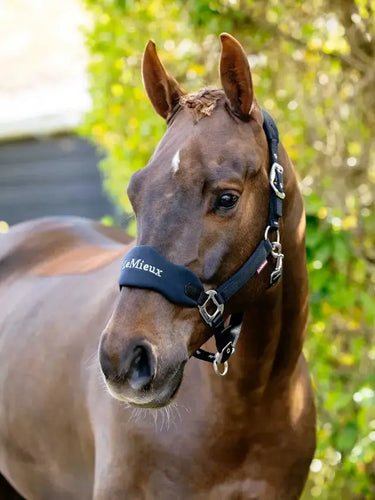 LeMieux Breakaway Vogue Headcollar Black| Online For Equine