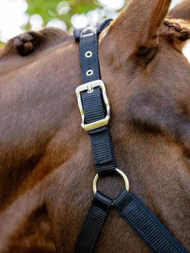 LeMieux Breakaway Vogue Headcollar Black| Online For Equine