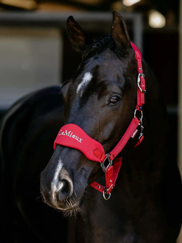 LeMieux Breakaway Vogue Headcollar Chilli| Online For Equine