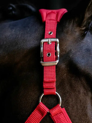 LeMieux Breakaway Vogue Headcollar Chilli| Online For Equine