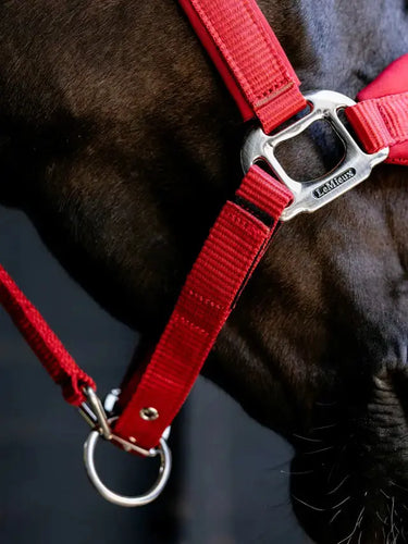 LeMieux Breakaway Vogue Headcollar Chilli| Online For Equine