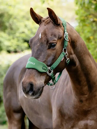 LeMieux Breakaway Vogue Headcollar Hunter Green| Online For Equine