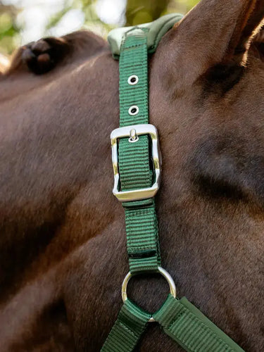 LeMieux Breakaway Vogue Headcollar Hunter Green| Online For Equine