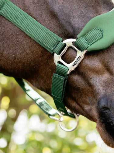 LeMieux Breakaway Vogue Headcollar Hunter Green| Online For Equine