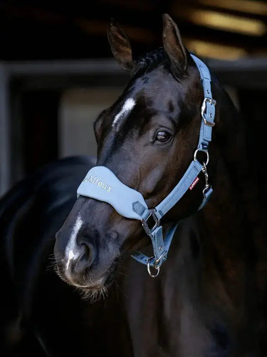 LeMieux Breakaway Vogue Headcollar Ice Blue| Online For Equine
