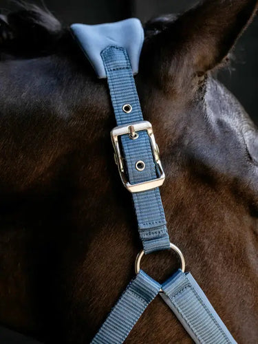 LeMieux Breakaway Vogue Headcollar Ice Blue| Online For Equine