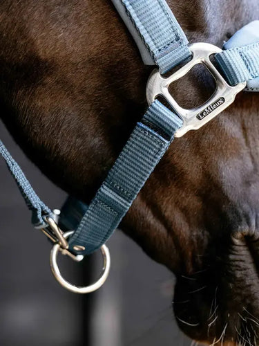 LeMieux Breakaway Vogue Headcollar Ice Blue| Online For Equine