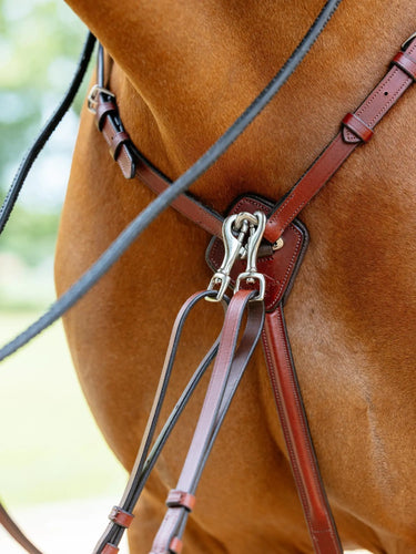 LeMieux Breastplate (D-Ring Attachment) Chestnut/Silver| Online For Equine