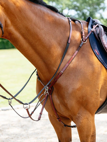 LeMieux Breastplate (D-Ring Attachment) Chestnut/Silver| Online For Equine