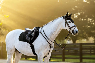 LeMieux Brilliance Close Contact Square Black| Online For Equine