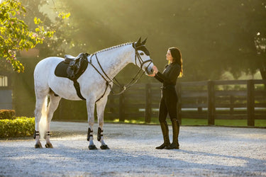 LeMieux Brilliance Close Contact Square Black| Online For Equine