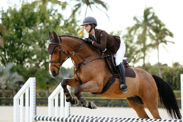 LeMieux Brilliance Close Contact Square Espresso| Online For Equine
