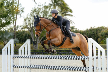LeMieux Brilliance Close Contact Square Navy| Online For Equine